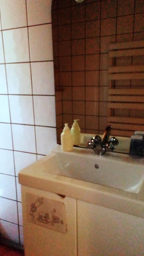 Au Chat Ronfleur Bagnères-de-Bigorre Dış mekan fotoğraf